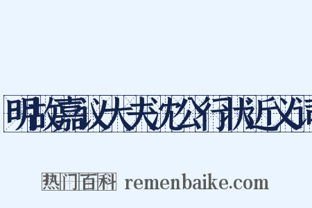明故嘉议大夫沈公行状近义词是什么意思的图片